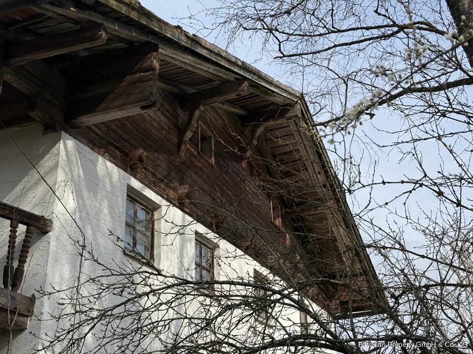 Zdjęcie ogłoszenia 13
