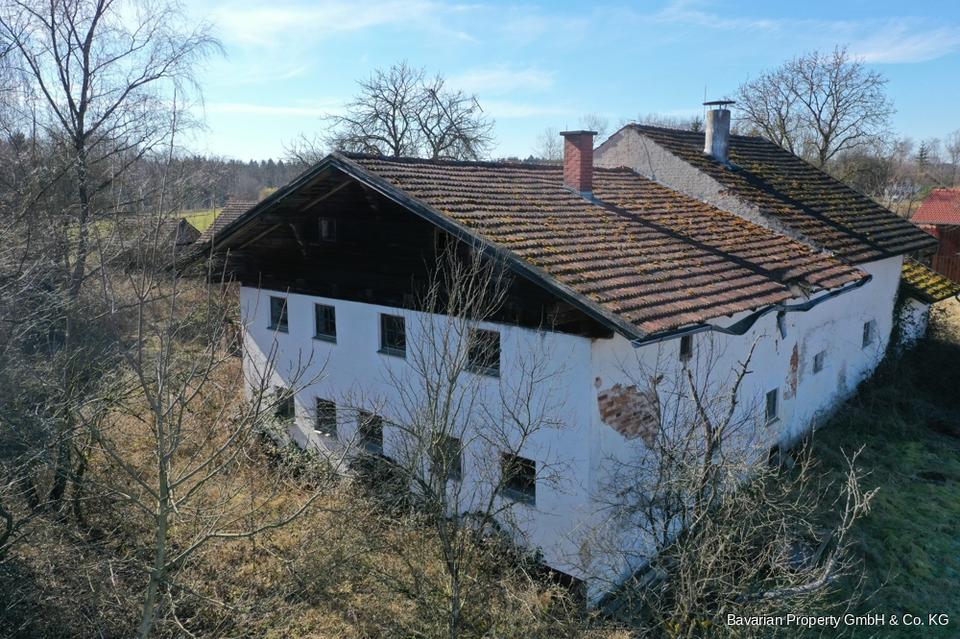 Zdjęcie ogłoszenia 9