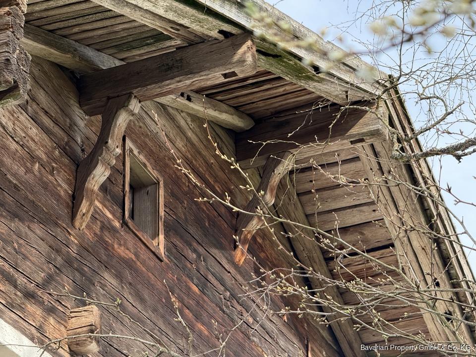 Zdjęcie ogłoszenia 12