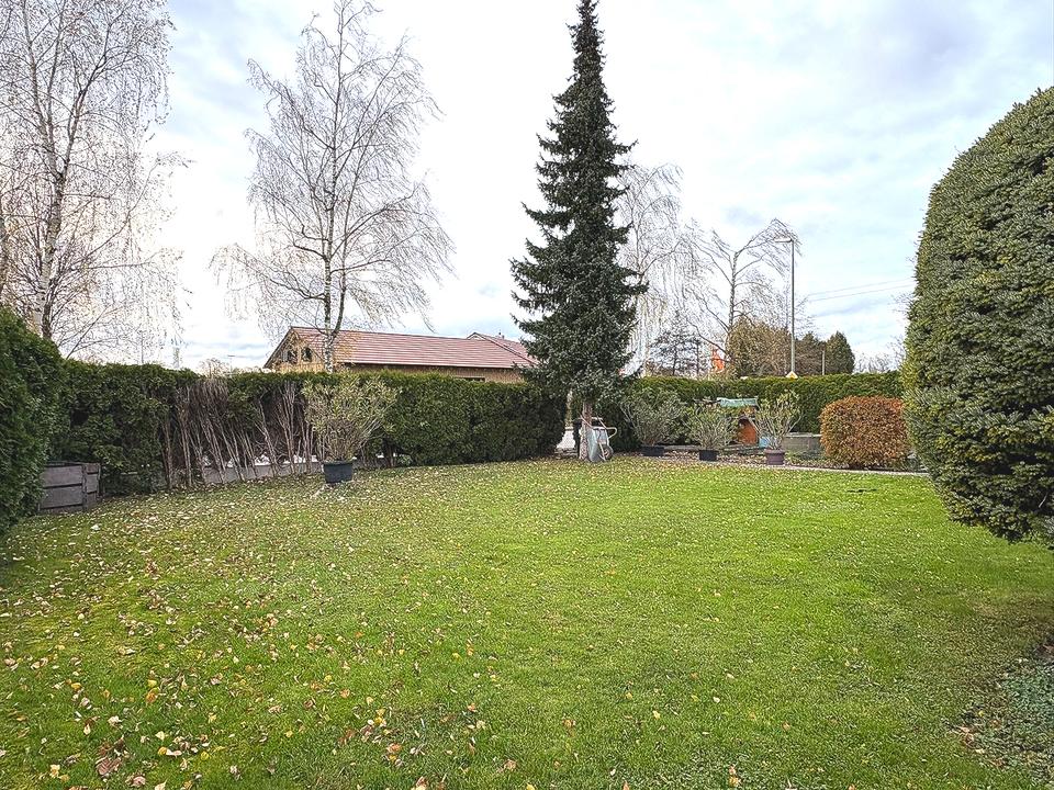 Zdjęcie ogłoszenia 11